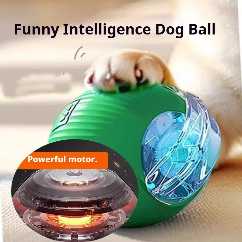 Smart Interactive Rolling Pet Ball