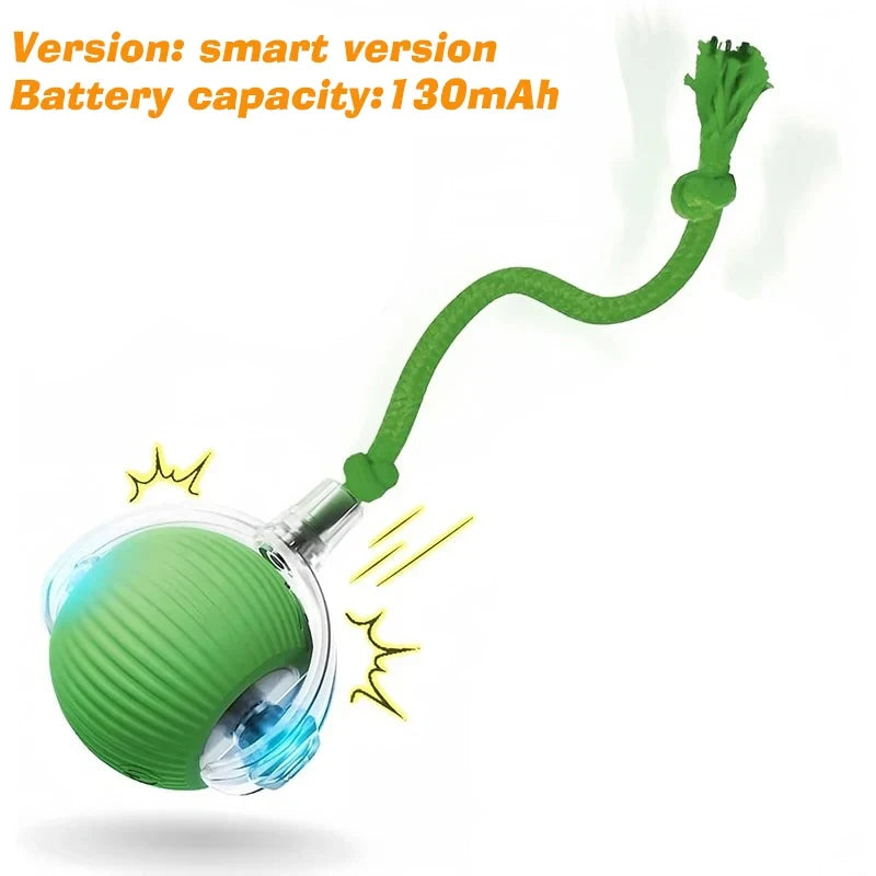 Smart Interactive Rolling Pet Ball