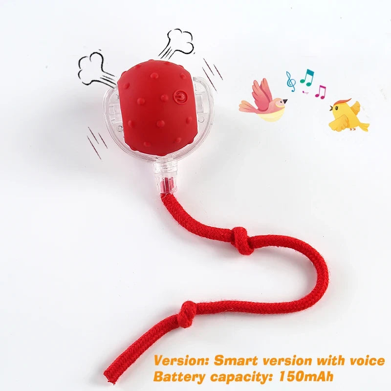 Smart Interactive Rolling Pet Ball