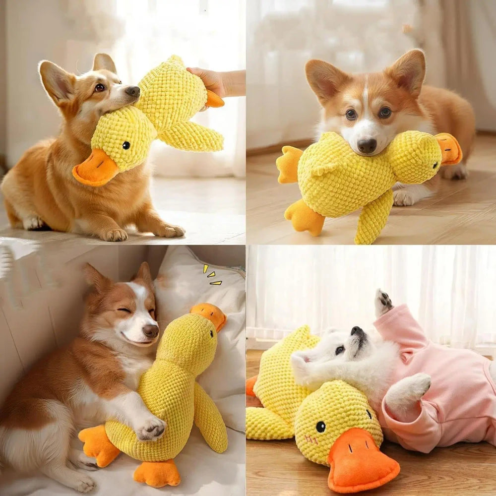Plush Teething Toys